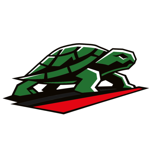 Черепашка Road™